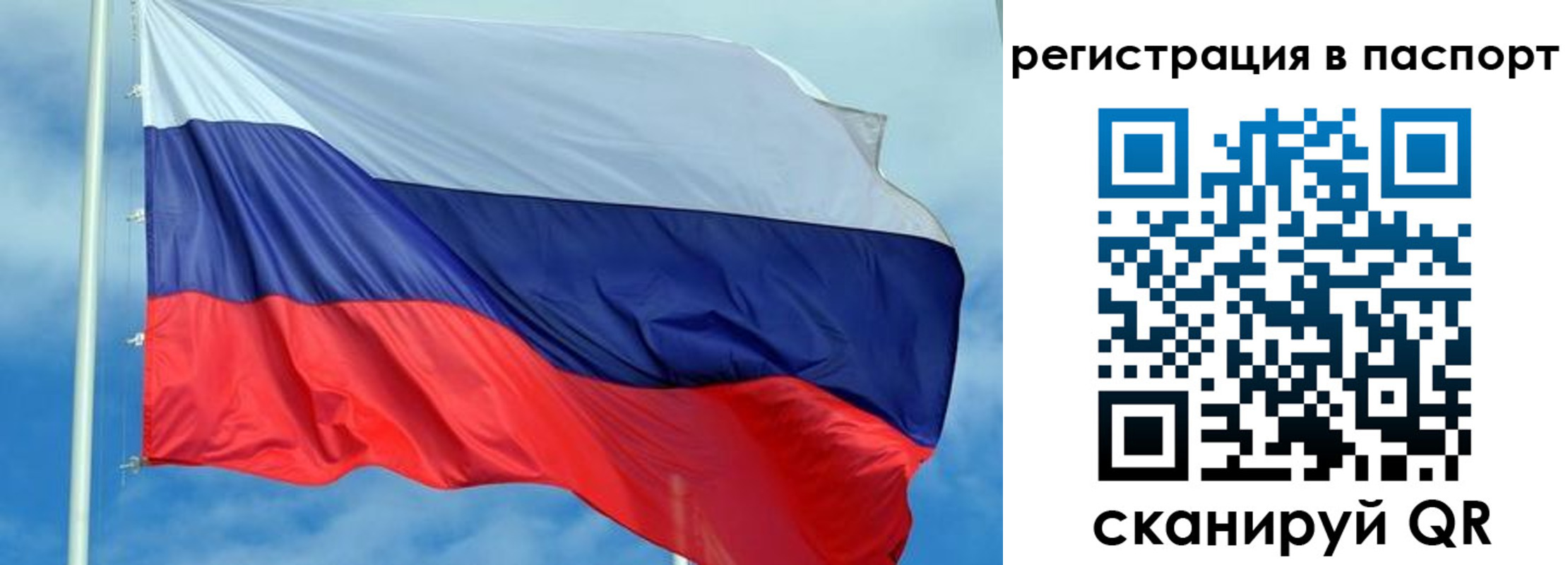 прописка от собственника в Сланцах